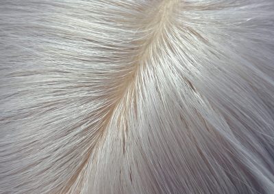 16″ 5×5″ HC Skin Closure #silver Silver