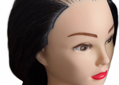 Hair Loss Mannikin Training Head (Sewing)