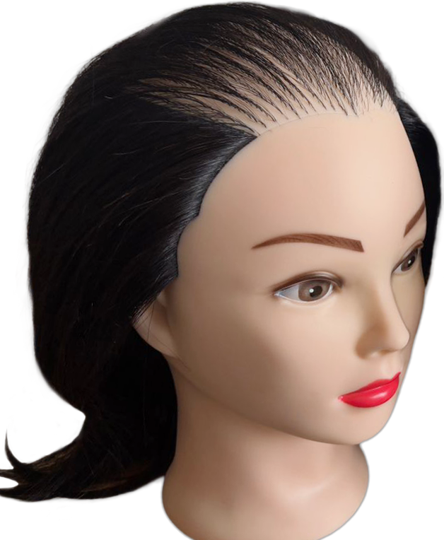 Hair Loss Mannikin Training Head (Sewing)
