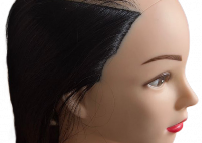Hair Loss Mannikin Training Head (Tape)
